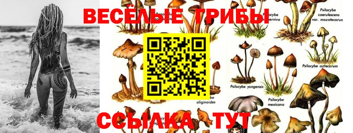 Бугульма  где найти наркотики  Вход с VPN  Псилоцибиновые грибы мицелий 